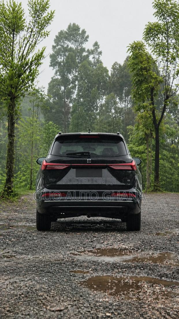 Dongfeng Rich 7 2024 Black
