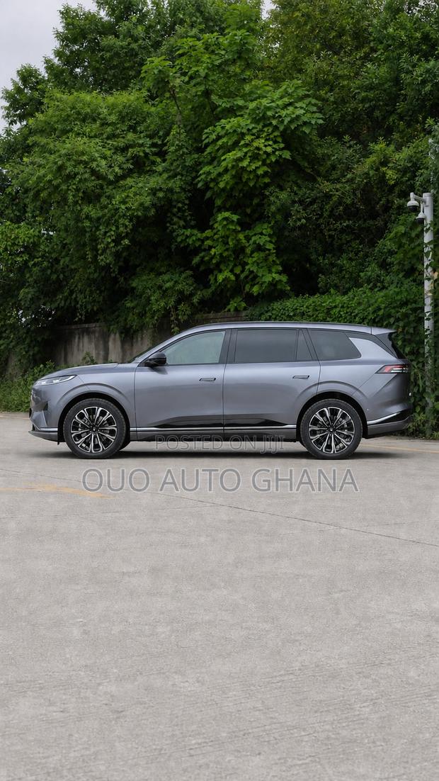 Dongfeng Yipai 008 2025 Gray