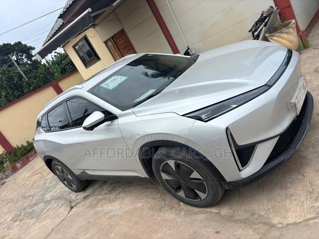 Dongfeng EV EX1 33 kW FWD 2024 Gray