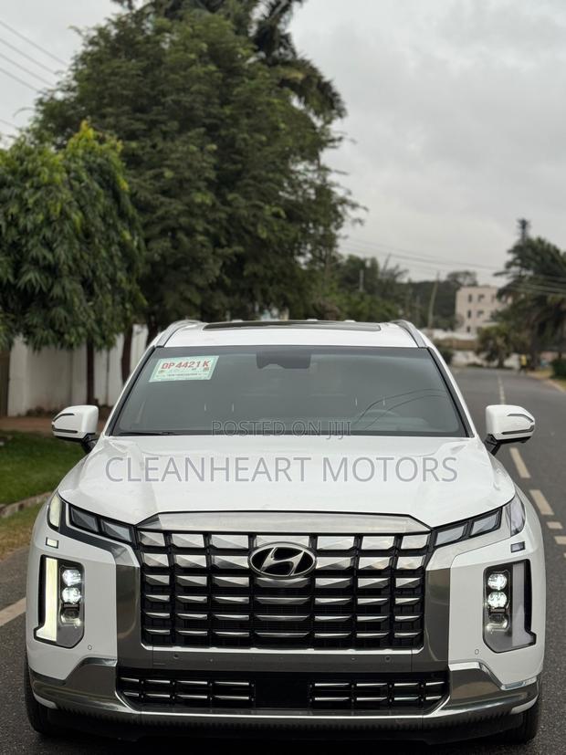 Hyundai Palisade Limited 2023 White