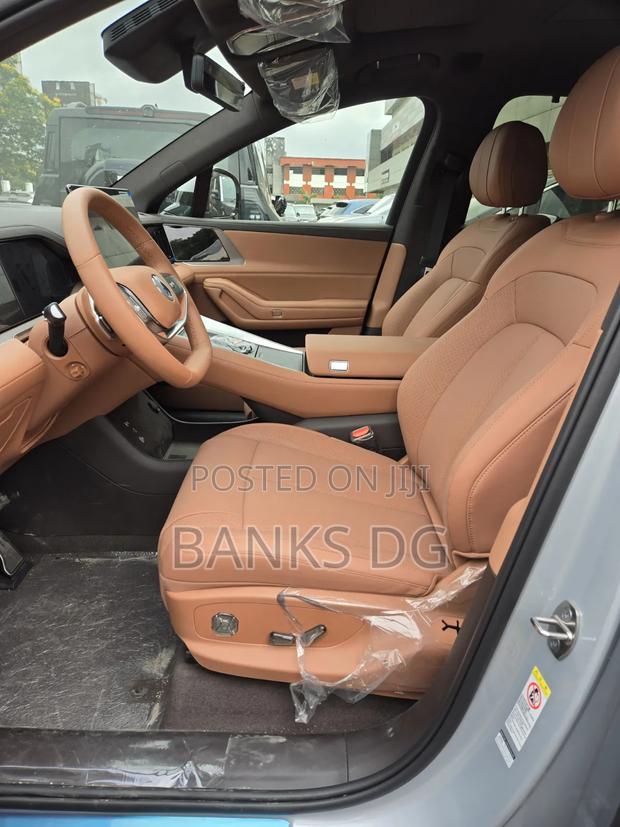 New Denza N9 2.0 Hybrid AWD 2025 Black