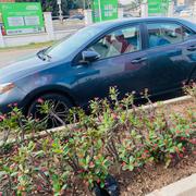 Toyota Corolla LE (1.8L 4cyl 2A) 2018 Gray for sale