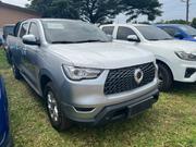 Great Wall Pao 2021 Silver for sale