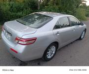 Toyota Camry LE 4dr Sedan (2.5L 4cyl 6A) 2011 Silver for sale