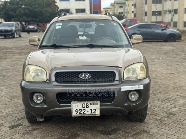 Hyundai Santa Fe LX 4WD 2004 Brown