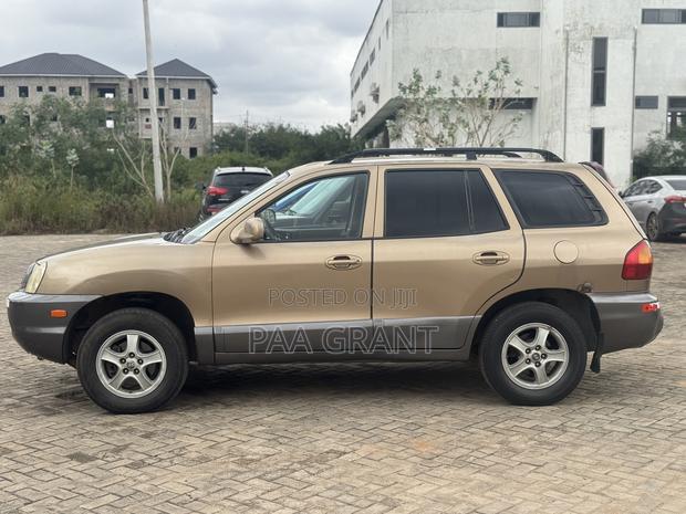 Hyundai Santa Fe LX 4WD 2004 Brown