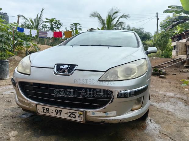 Peugeot 407 2007 Gray