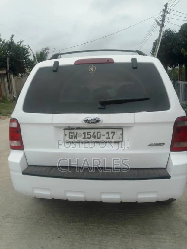 Ford Escape 2008 White
