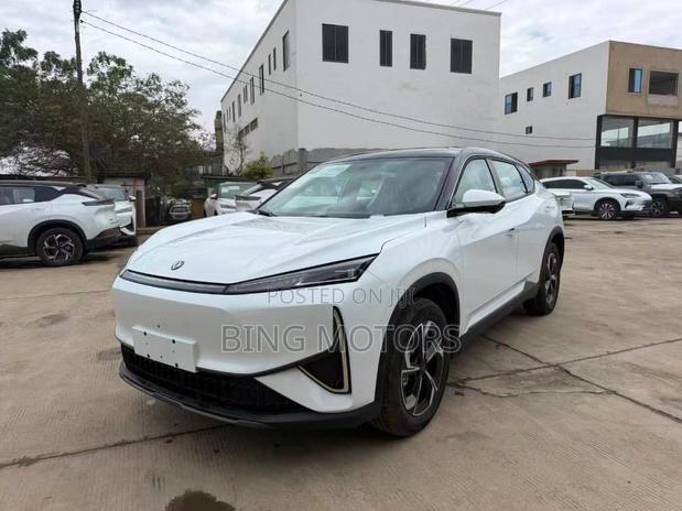 New Dongfeng Rich 7 2025 White