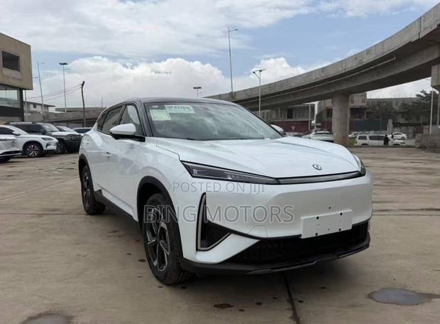 New Dongfeng Rich 7 2025 White