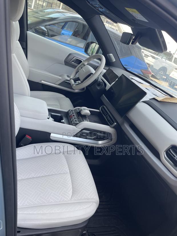 New BYD Leopard 3 2025 Gray