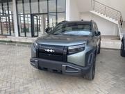 New BYD Leopard 3 2025 Gray for sale