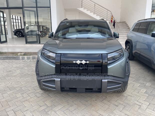 New BYD Leopard 3 2025 Gray