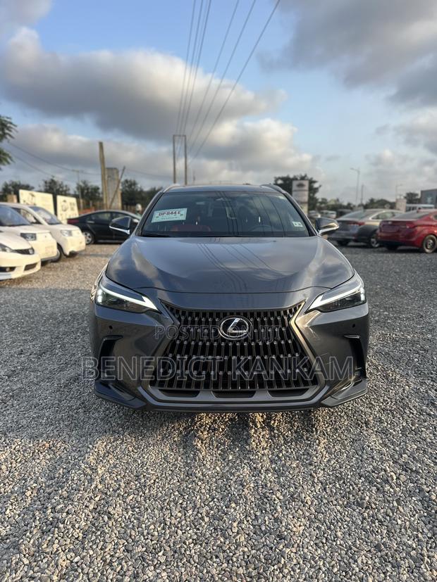 Lexus NX 350 AWD 2023 Gray