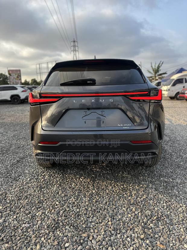 Lexus NX 350 AWD 2023 Gray