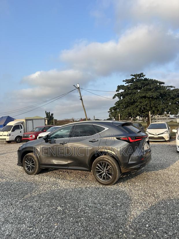 Lexus NX 350 AWD 2023 Gray