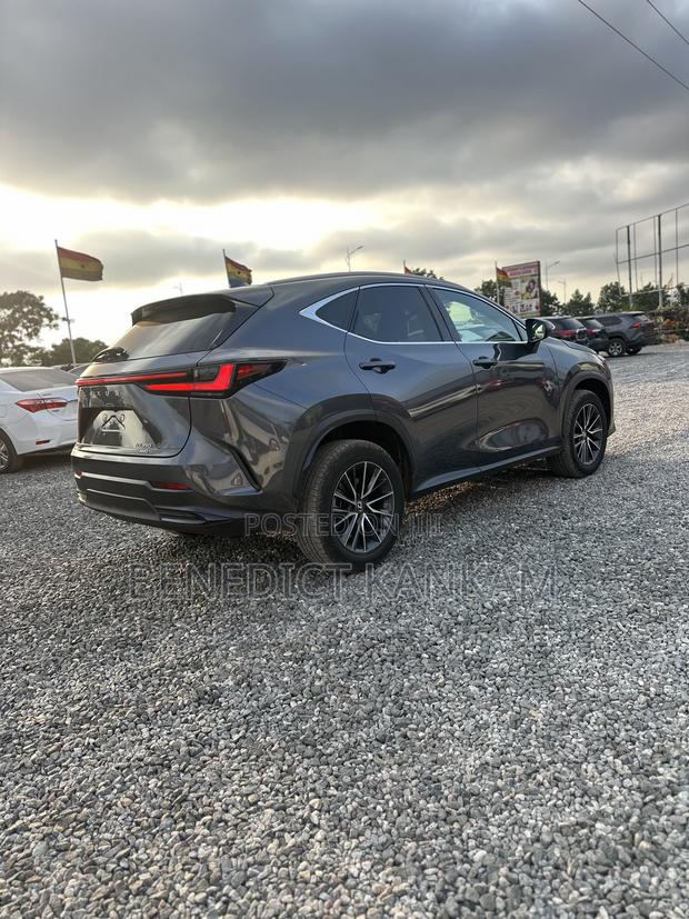 Lexus NX 350 AWD 2023 Gray