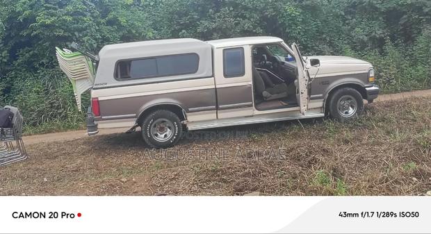 Ford F-150 1992 Brown