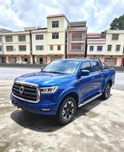 Great Wall King Kong Poer 2021 Blue for sale