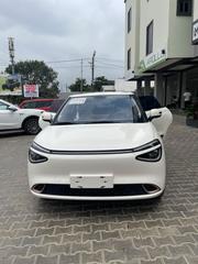 New Dongfeng Nammi 01 31.45 kWh 330 Plus 2024 White for sale