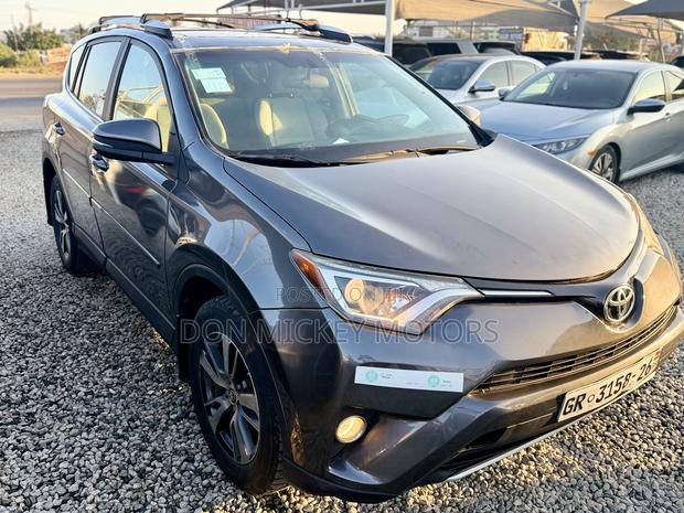 Toyota RAV4 XLE AWD (2.5L 4cyl 6A) 2017 Gray