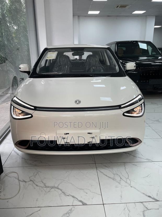 New Dongfeng Nammi Box 42.3 kWh FWD 2025 White