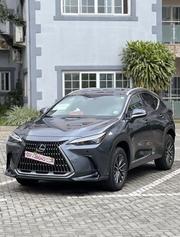 Lexus NX 350 AWD 2024 Gray for sale