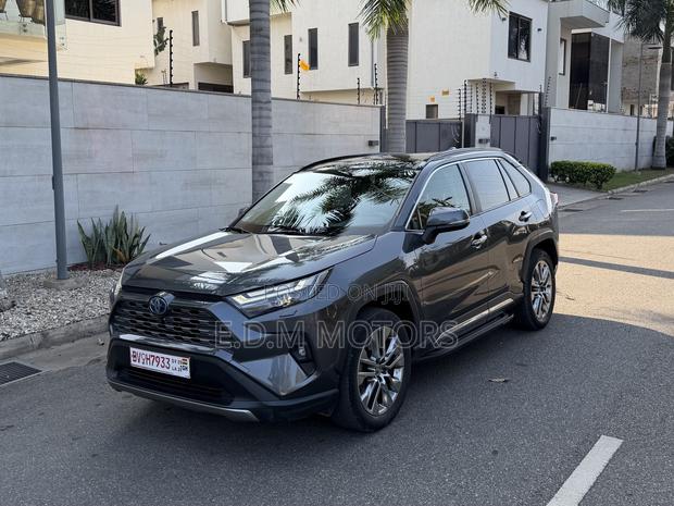 Toyota RAV4 XLE Premium AWD 2023 Silver