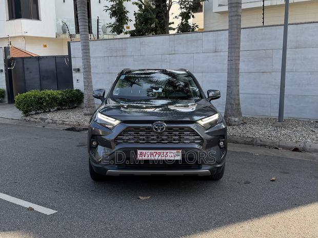 Toyota RAV4 XLE Premium AWD 2023 Silver