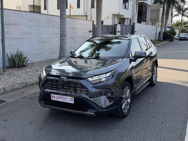 Toyota RAV4 XLE Premium AWD 2023 Silver