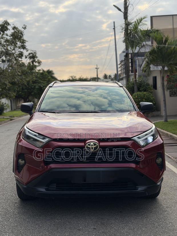 Toyota RAV4 LE AWD 2019 Red