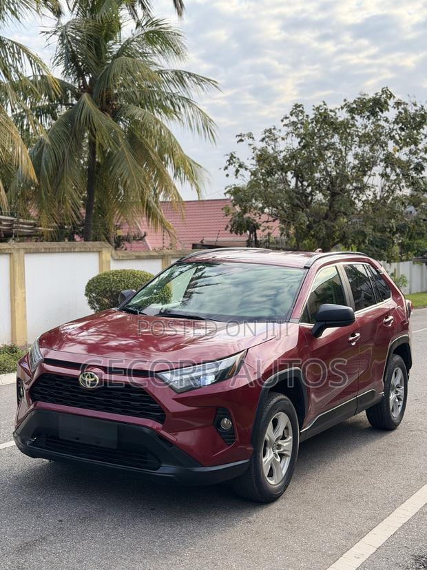 Toyota RAV4 LE AWD 2019 Red