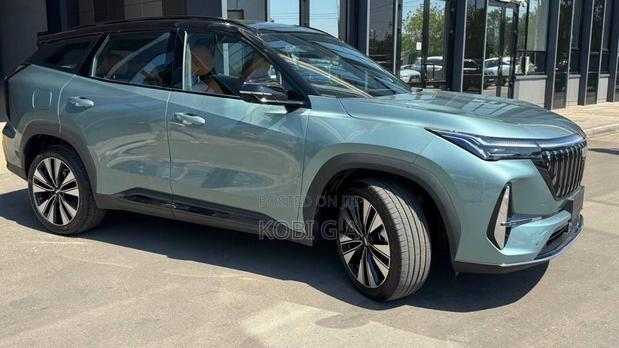 New Geely Boyue 1.5T 10th Anniversary Champion Edition 2026 Green