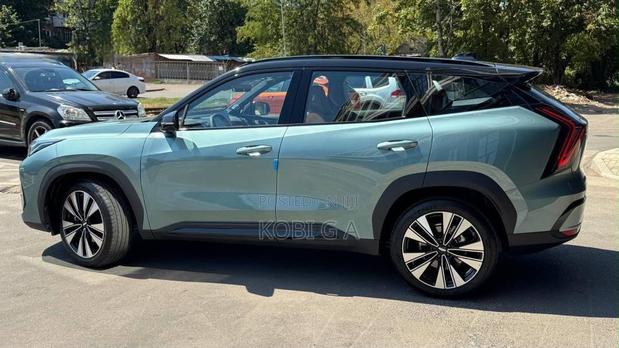 New Geely Boyue 1.5T 10th Anniversary Champion Edition 2026 Green