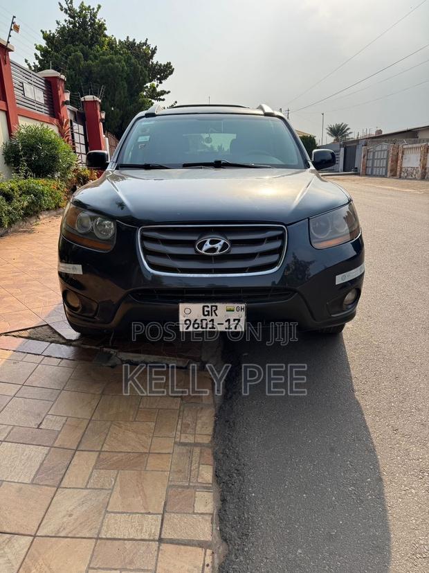 Hyundai Santa Fe 2009 Gray