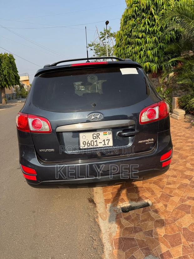 Hyundai Santa Fe 2009 Gray