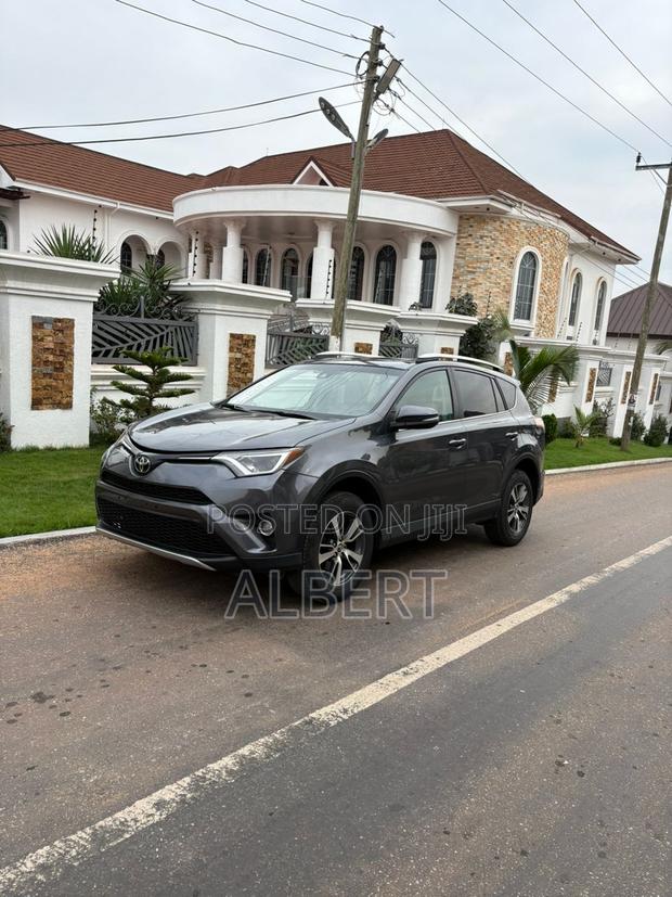 Toyota RAV4 XLE 4dr SUV AWD (2.5L 4cyl 6A) 2018 Gray