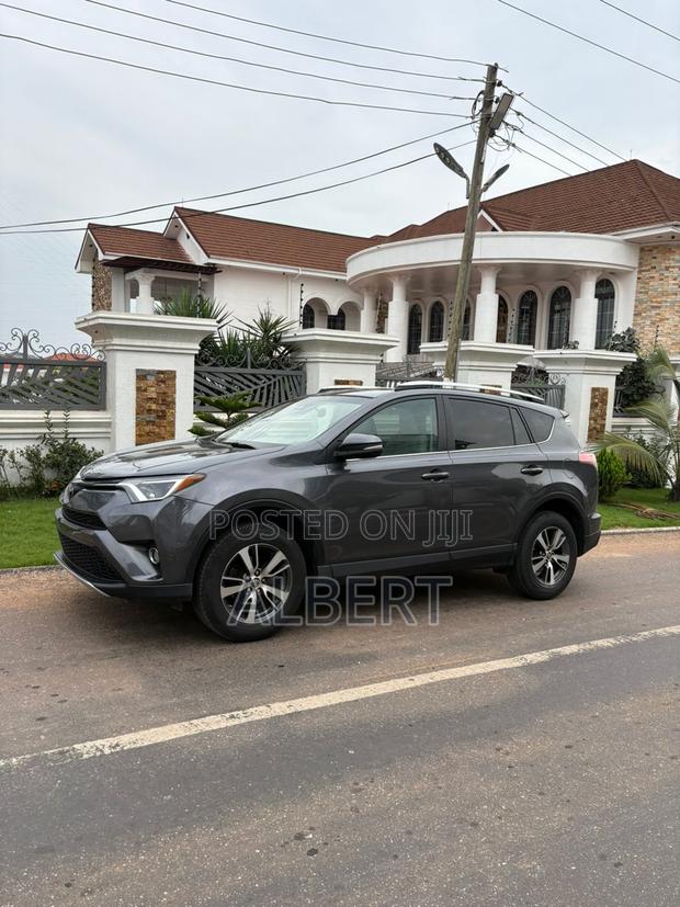 Toyota RAV4 XLE 4dr SUV AWD (2.5L 4cyl 6A) 2018 Gray