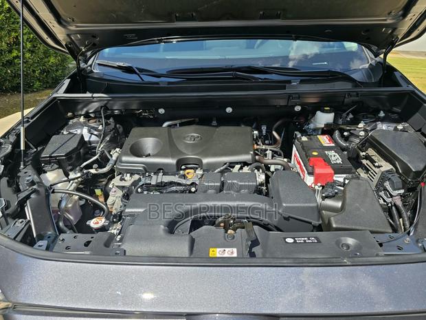 Toyota RAV4 XLE Premium AWD 2024 Gray