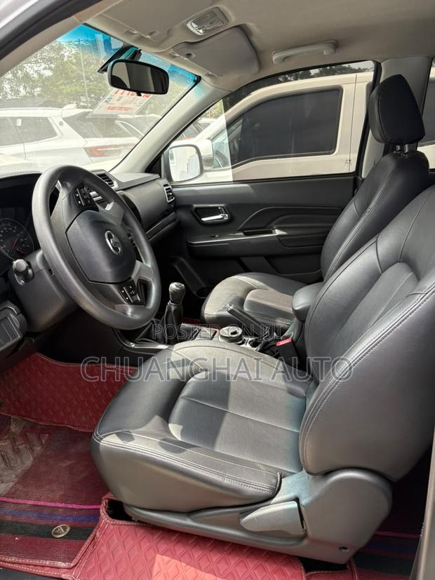 Great Wall Wingle 2019 Gray