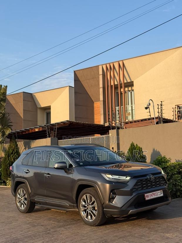 Toyota RAV4 XLE Premium AWD 2024 Gray