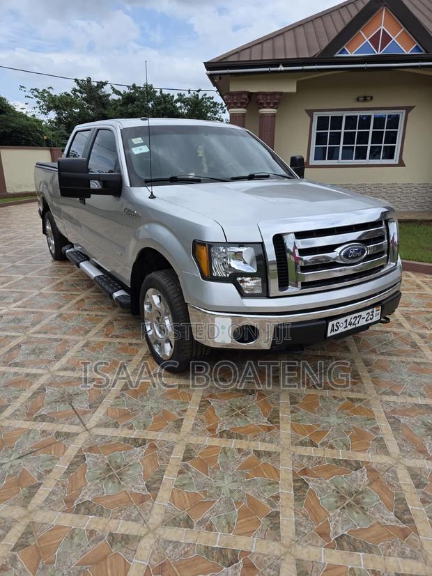 Ford F-150 Platinum 2013 Silver