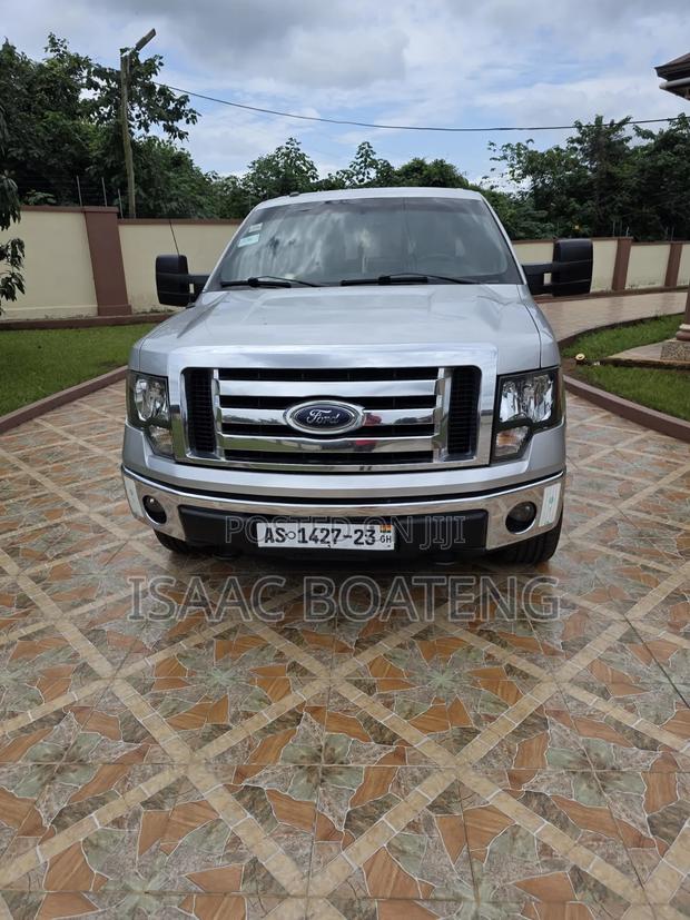 Ford F-150 Platinum 2013 Silver