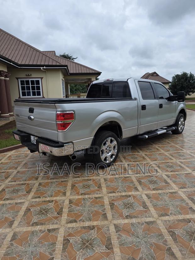 Ford F-150 Platinum 2013 Silver