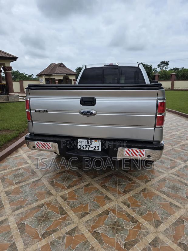 Ford F-150 Platinum 2013 Silver