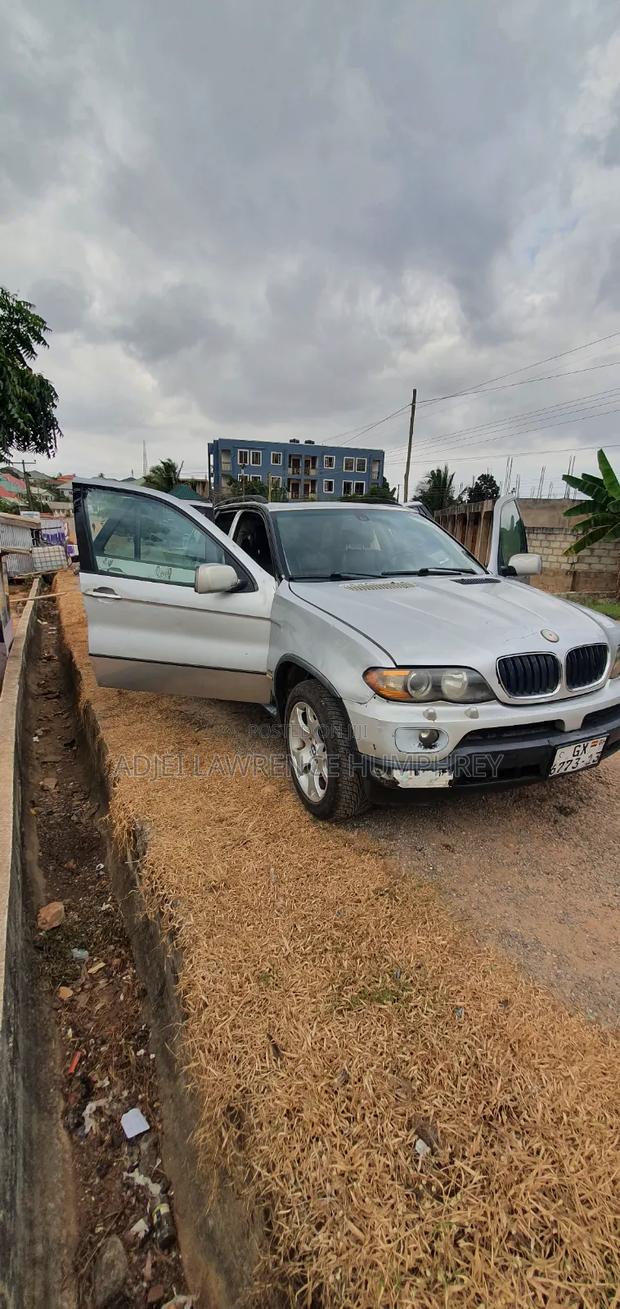 BMW X5 3.0i 2006 Gray