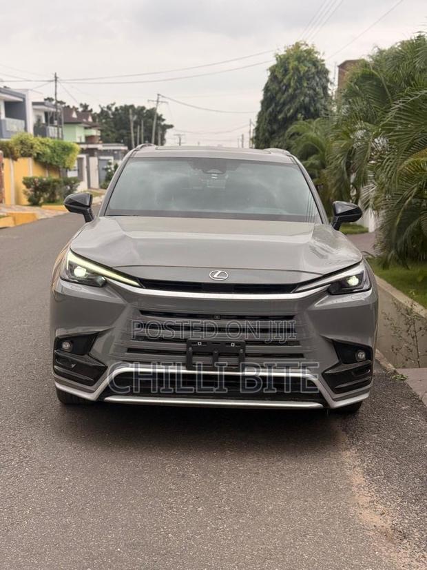 Lexus TX TX 500h AWD 2024 Gray