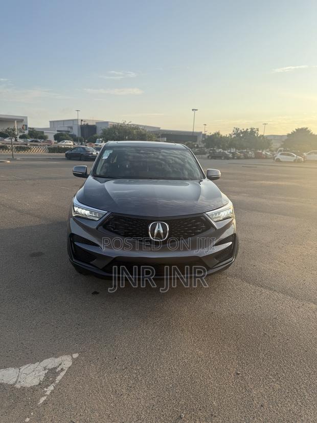 Acura RDX Advance Pkg FWD 2019 Silver