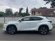 Lexus NX 2019 Red for sale