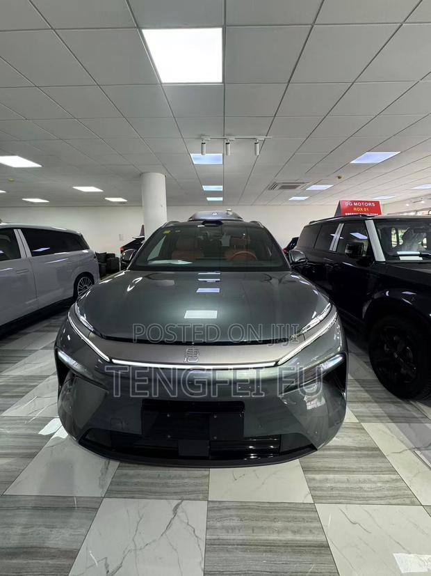 New BYD Tang DM-i 2025 Gray